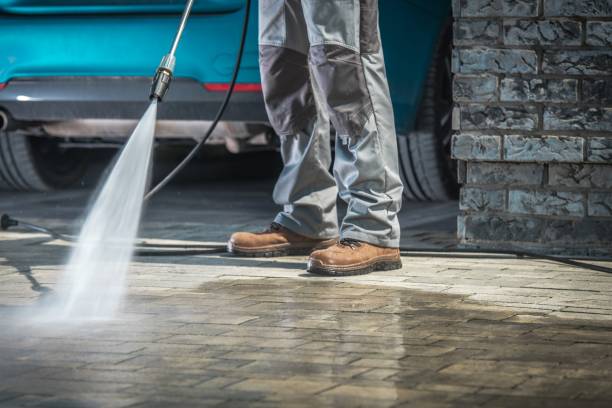 Best Pre-Holiday Cleaning  in Frenchtown, NJ