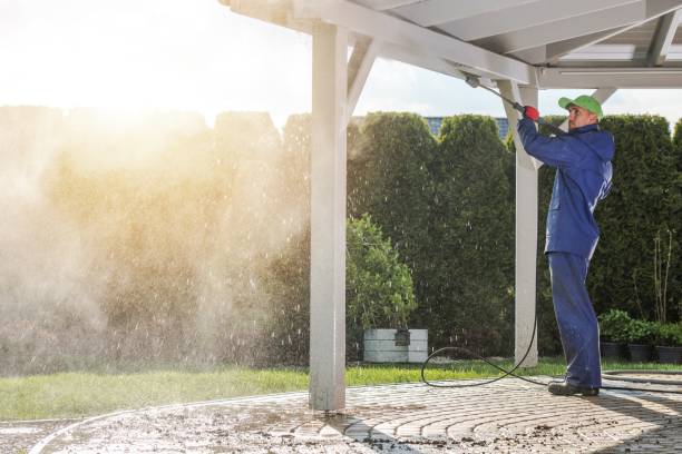 Pre-Holiday Cleaning in Frenchtown, NJ